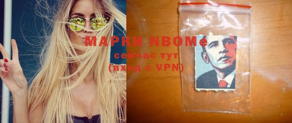 mdpv Бородино