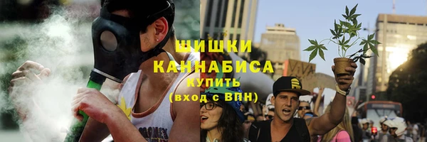 mdpv Бородино