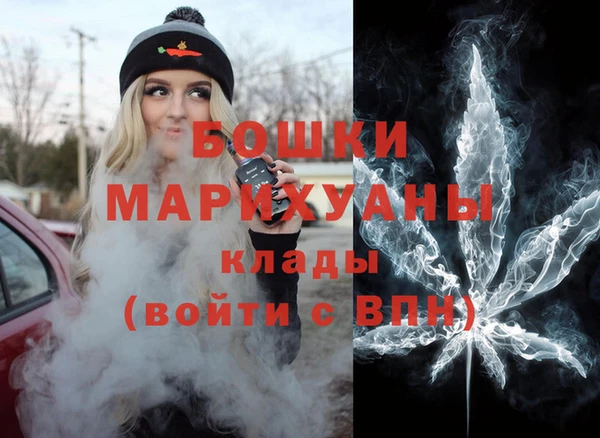 mdpv Бородино