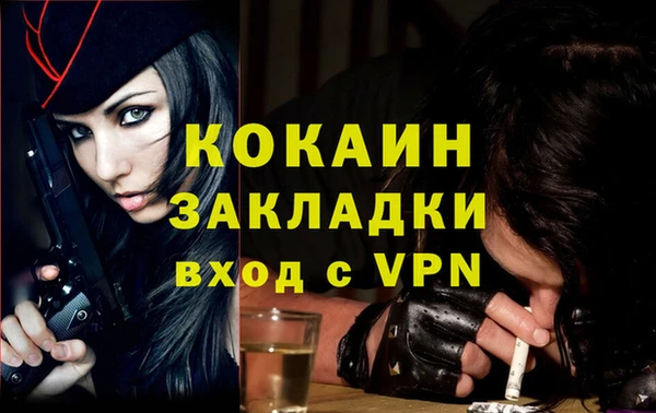 mdpv Бородино