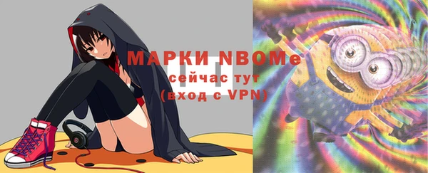 mdpv Бородино