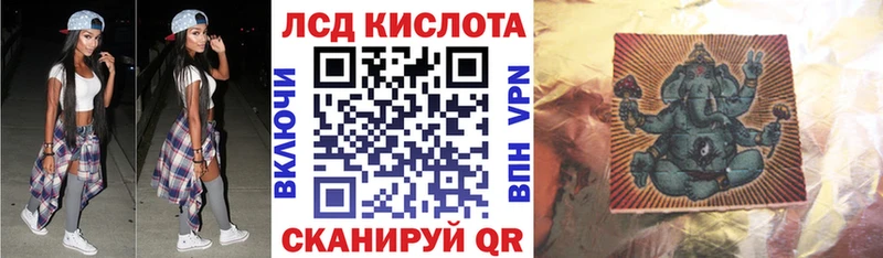 hydra tor  Выборг  Наркотические марки 1500мкг 