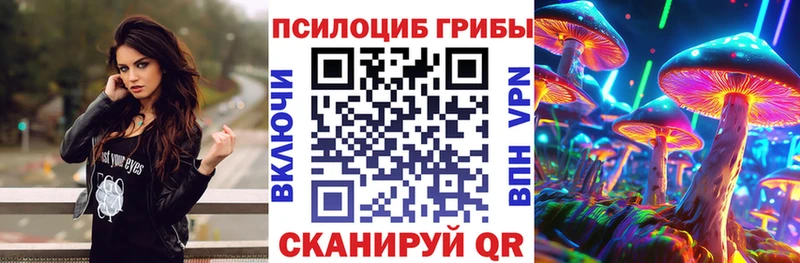 Галлюциногенные грибы MAGIC MUSHROOMS  наркота  Выборг 